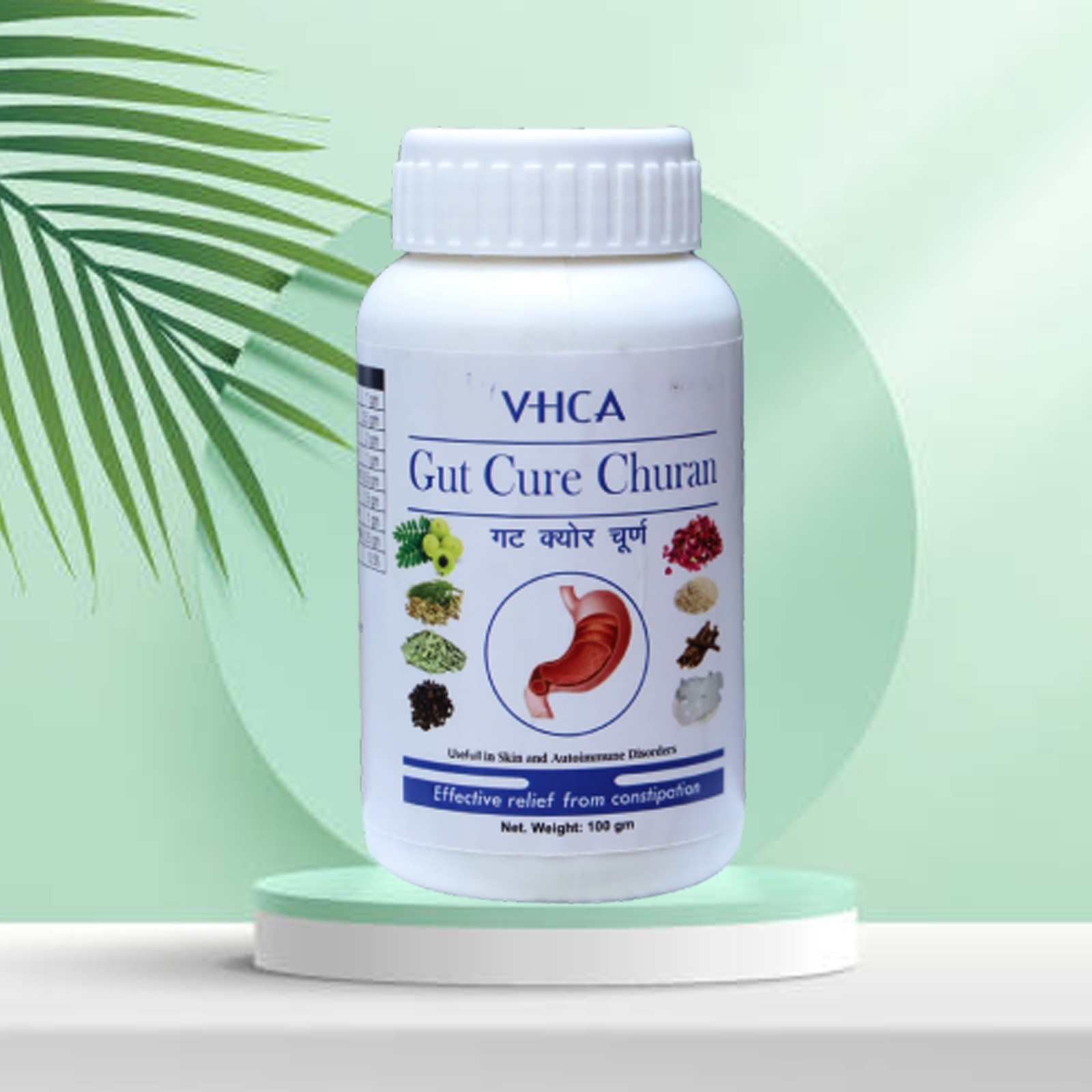 VHCA Gut Cure Churan